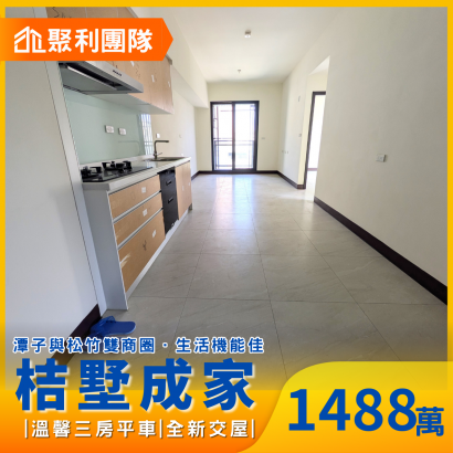 2133頭家國小全新完工三房平車.png