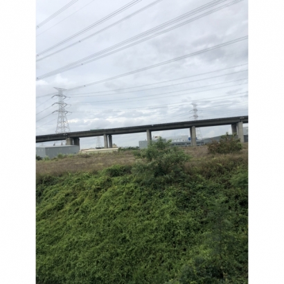 S__32579653.jpg